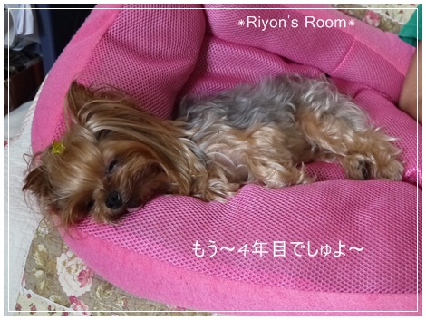 記念日③