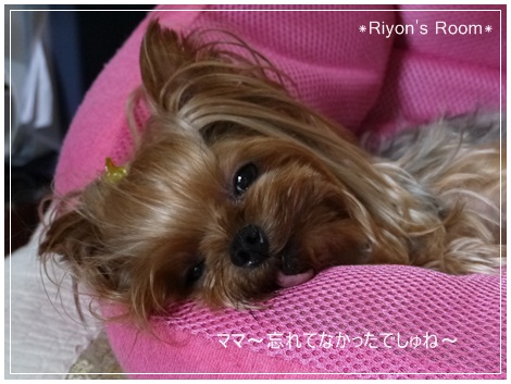 記念日①
