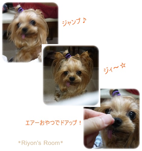リヨン②