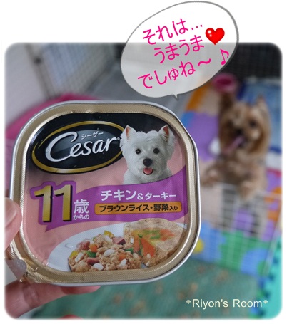 ごはん④