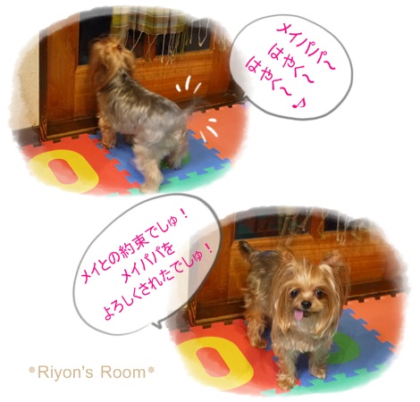 メイとリヨン⑥