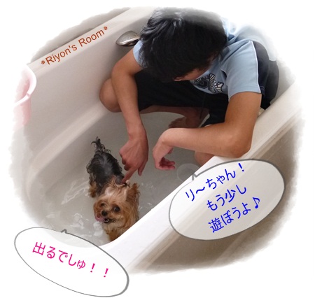 水遊び③
