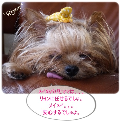 メイとリヨン⑨
