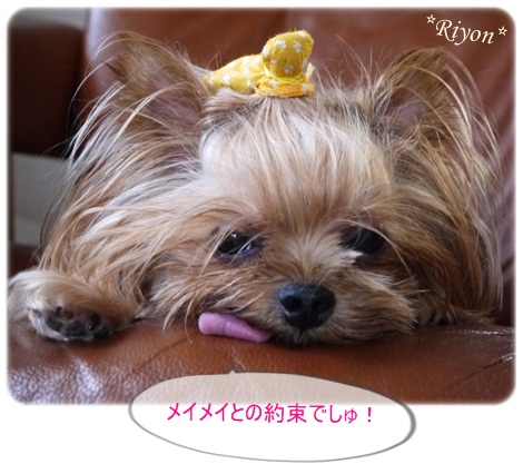 メイとリヨン⑧