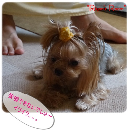 うしろ⑤