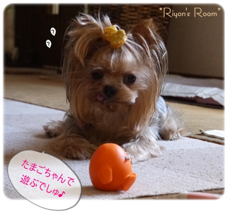 うしろ①