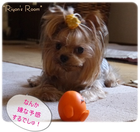 うしろ②