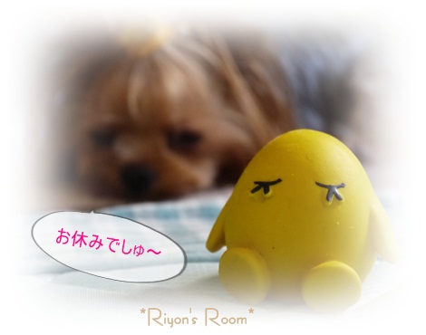 今日は③