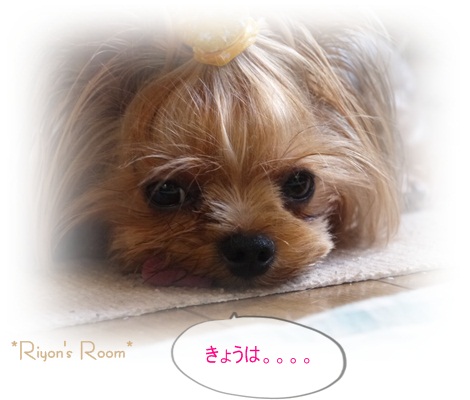 今日は①