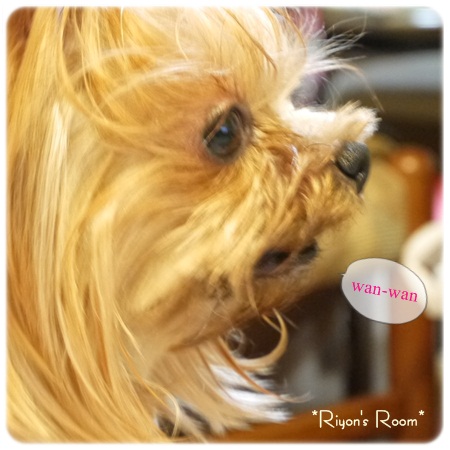番犬③