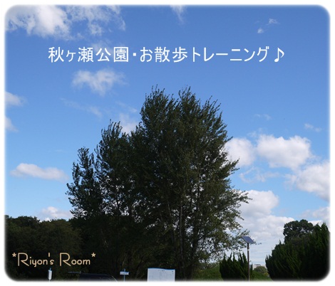 散トレ10月①