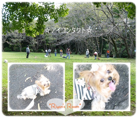 散トレ10月⑤
