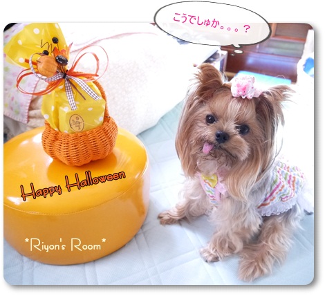 ハロウィン③