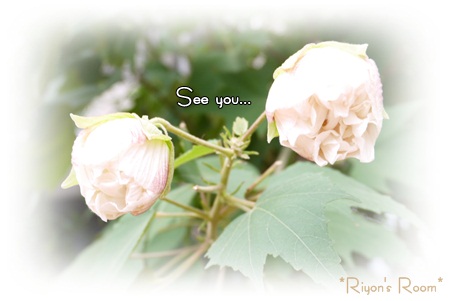 see you