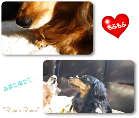 カフェ⑦