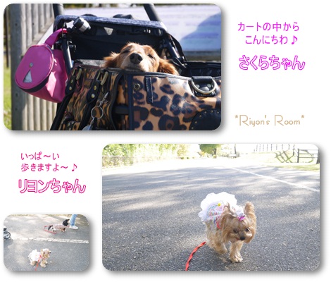 道満⑤