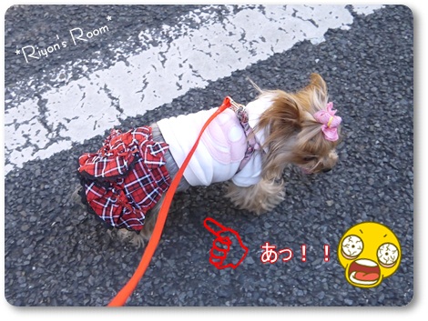 スカート⑤