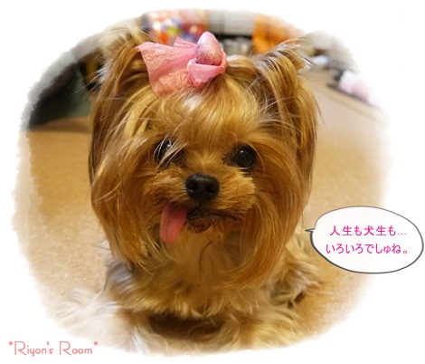 for you⑦