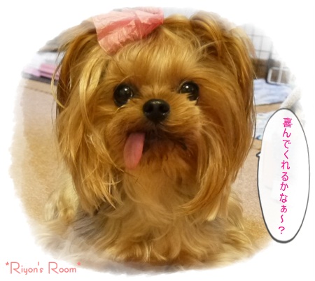 for you⑤