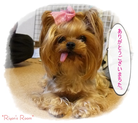 for you⑥