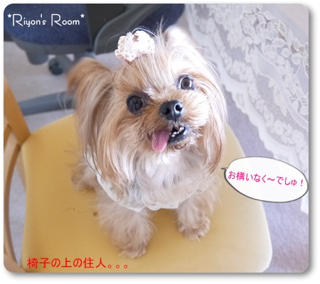 サンタ③
