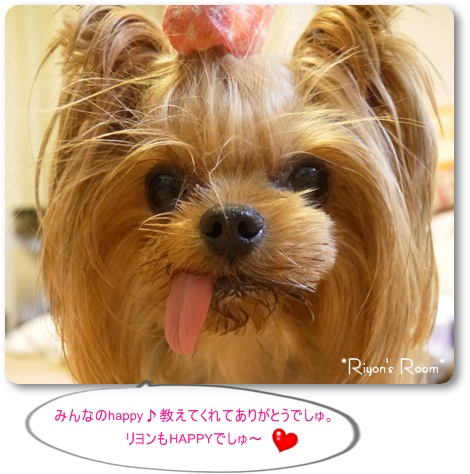 happy⑤