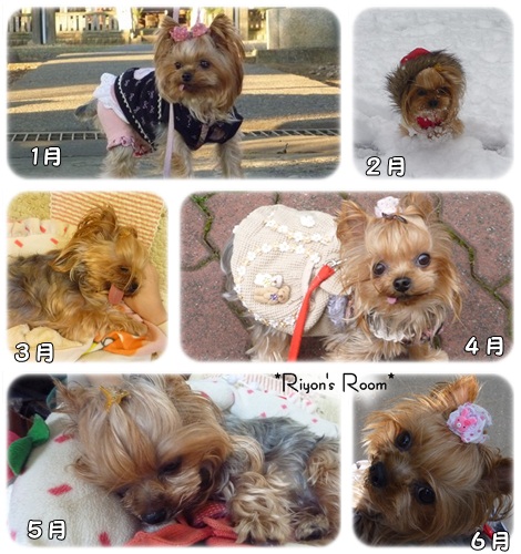 2012思い出①