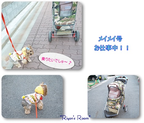 メイメイ号①
