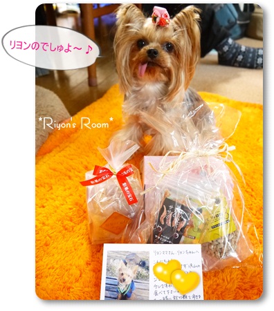ノエル君②