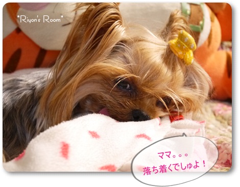 落ち着いて①