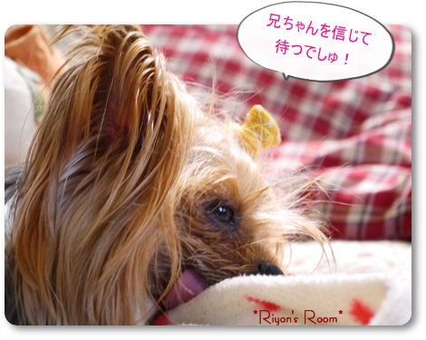 落ち着いて④