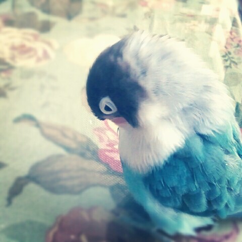 20120608_07.jpg