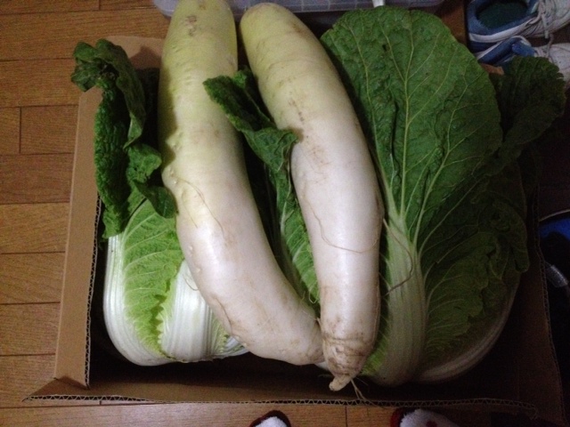 北村1