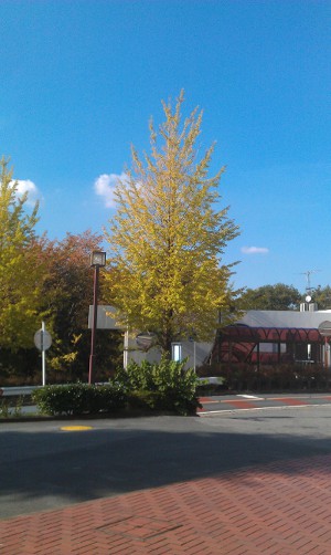 IMAG0746.jpg