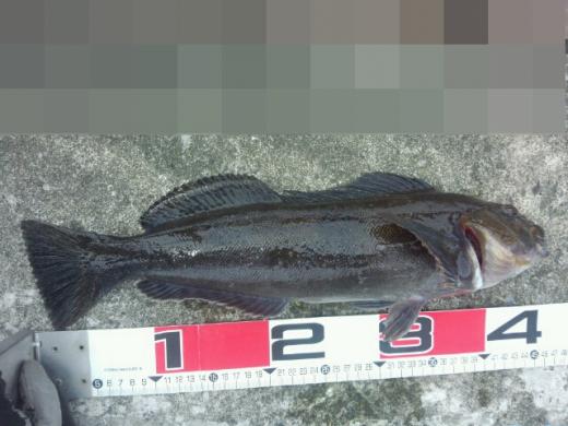 mp_1366286324680.jpg