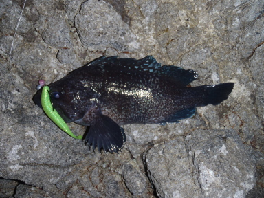 P5200005.jpg