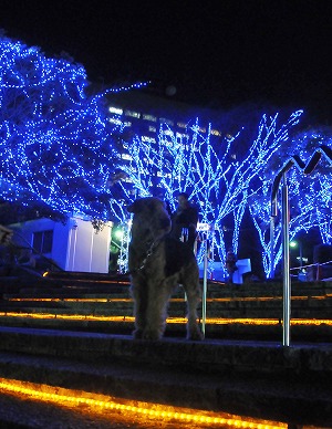公園も