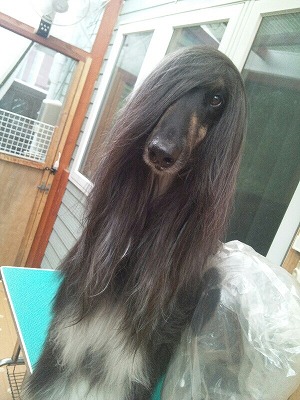 fc2blog_2012092919575139c_20120929200838.jpg