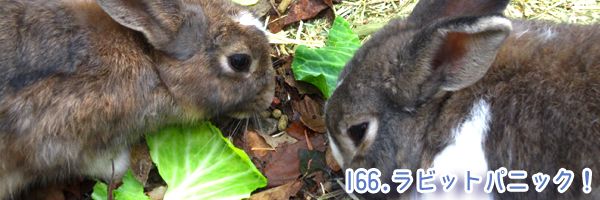 20141028-2.jpg