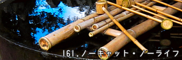 v161.jpg