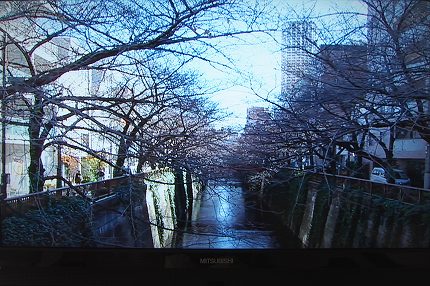 テレビ2