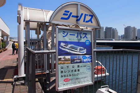 シーバス