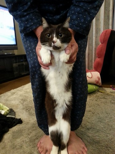 ヨネ