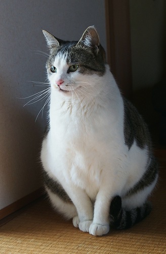 こも2