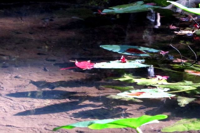 映り込み2