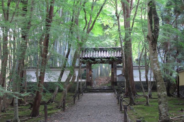 地蔵院