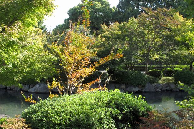 東寺2