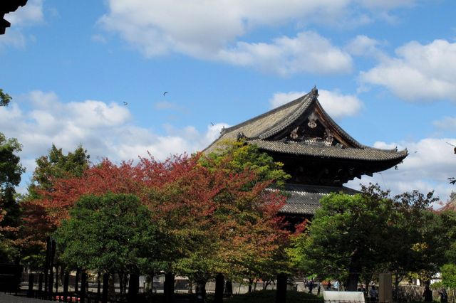 東寺1