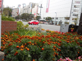 20121105_ten.jpg