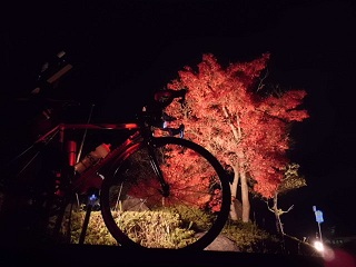 20121115_tr.jpg